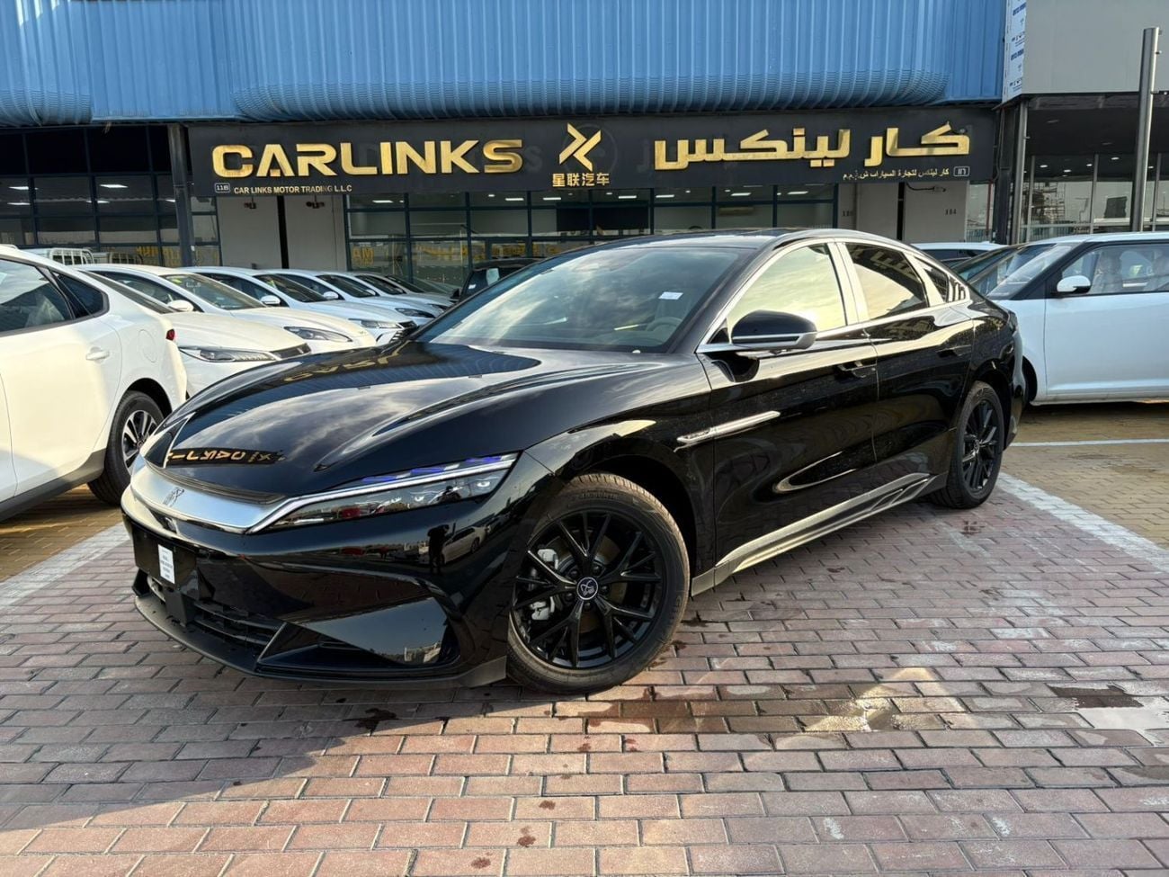 بي واي دي هان PREMIUM