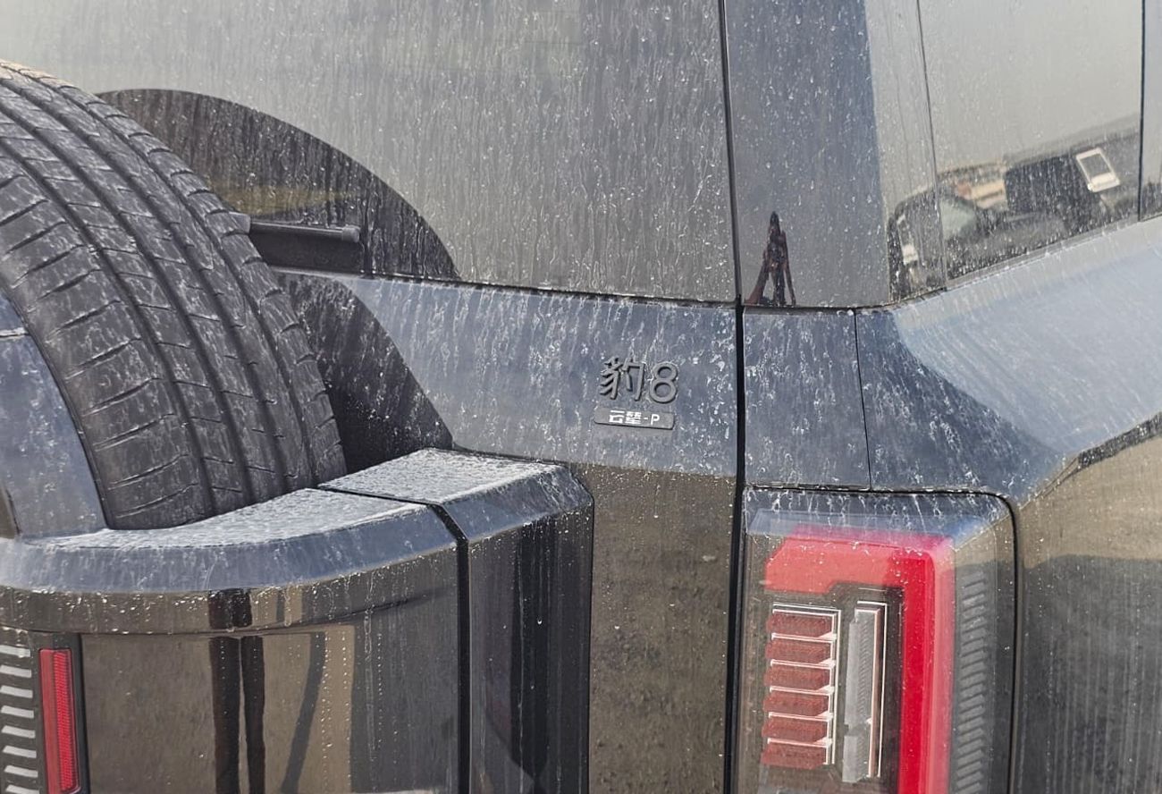 بي واي دي ليوبارد 8 Smart and Brave Flagship Edition (7 Seats)