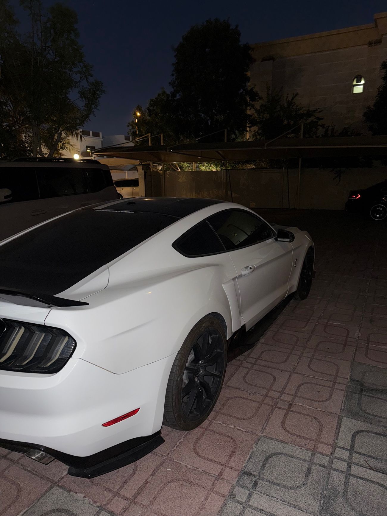 Ford Mustang Mustang GT 5.0 manual