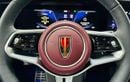 HONGQI EHS9 Brand new .. Top Range