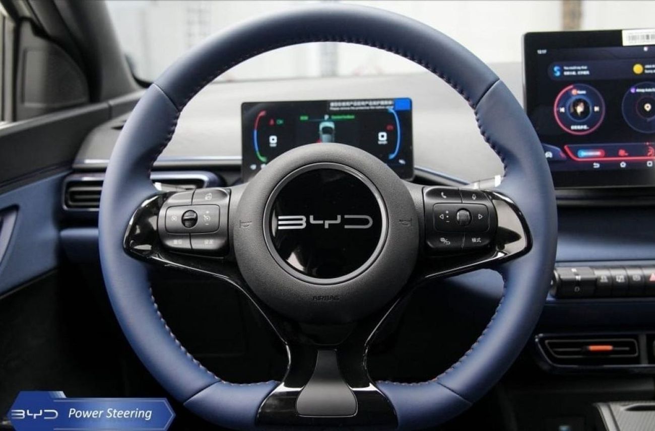 بي واي دي سيجول FLYING HATCHBACK ELECTRIC 2024