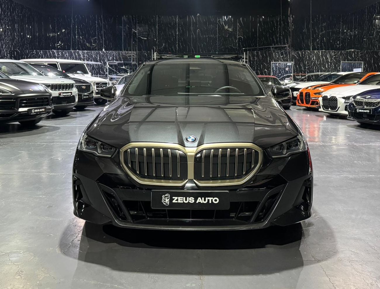 BMW 520i 2.0L /Gold Line Package