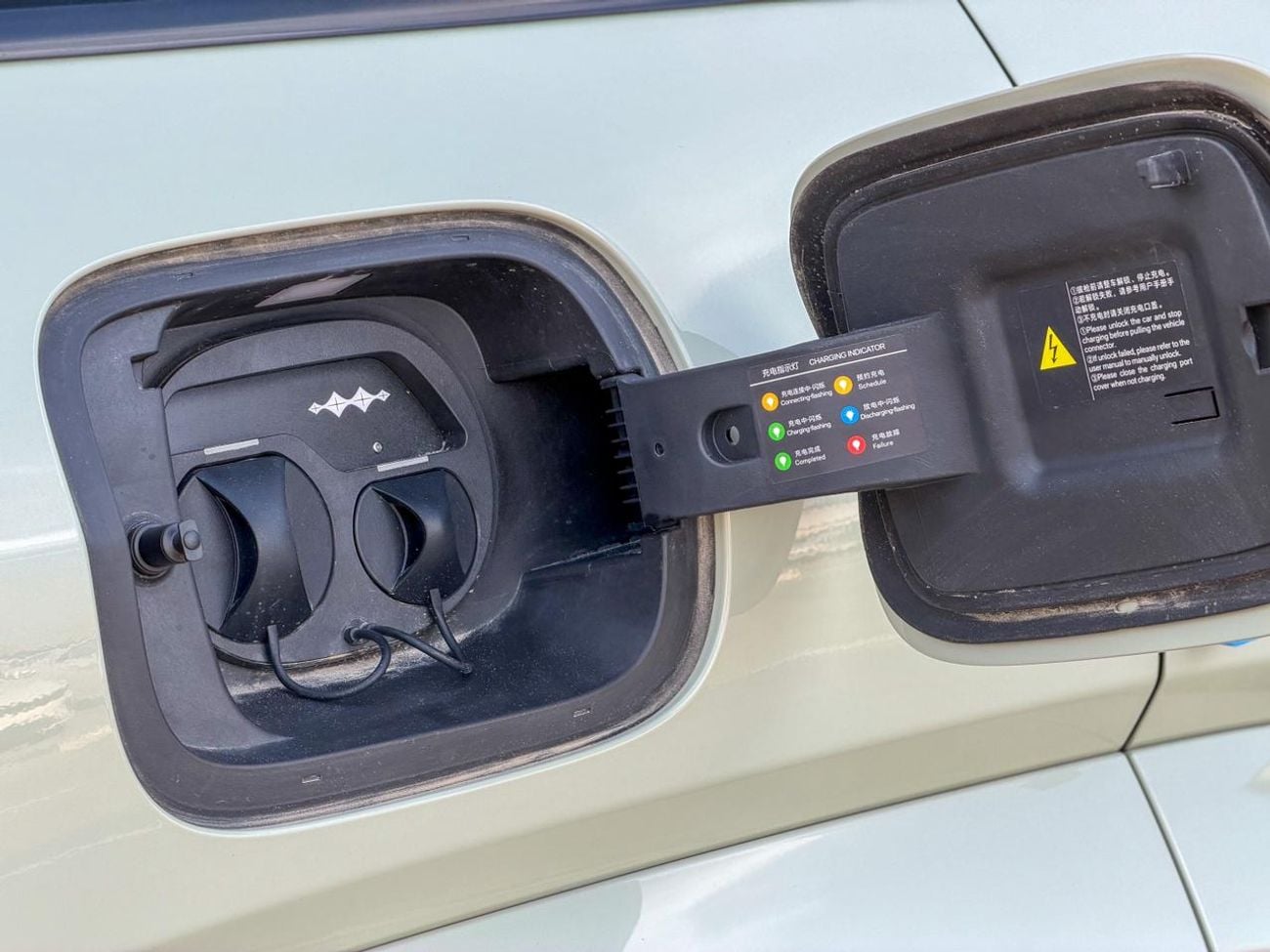 بي واي دي ليوبارد 5