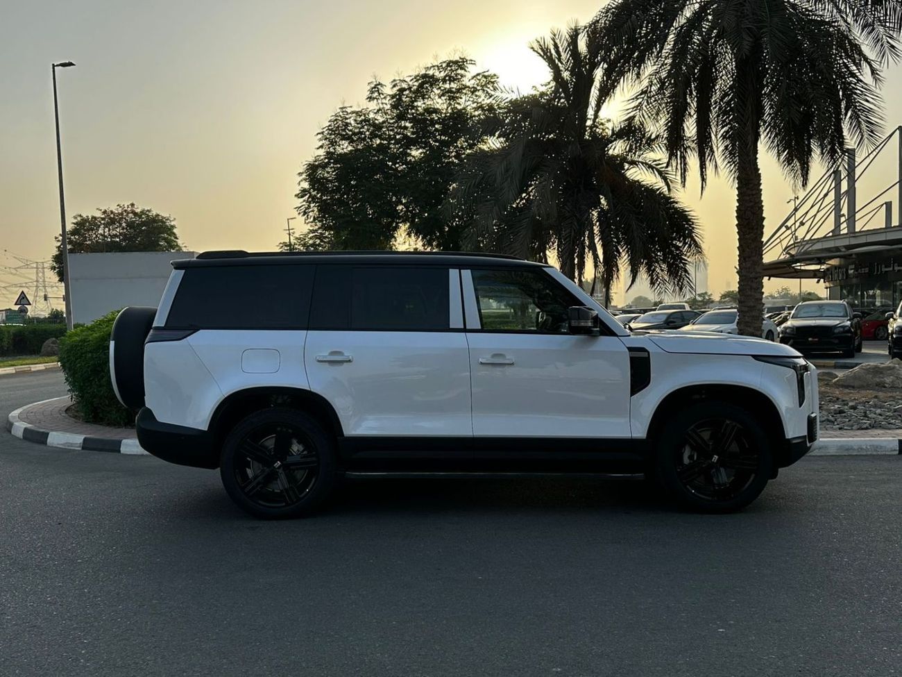 روكس 01 VIP 6 seats with warranty  5 years evs