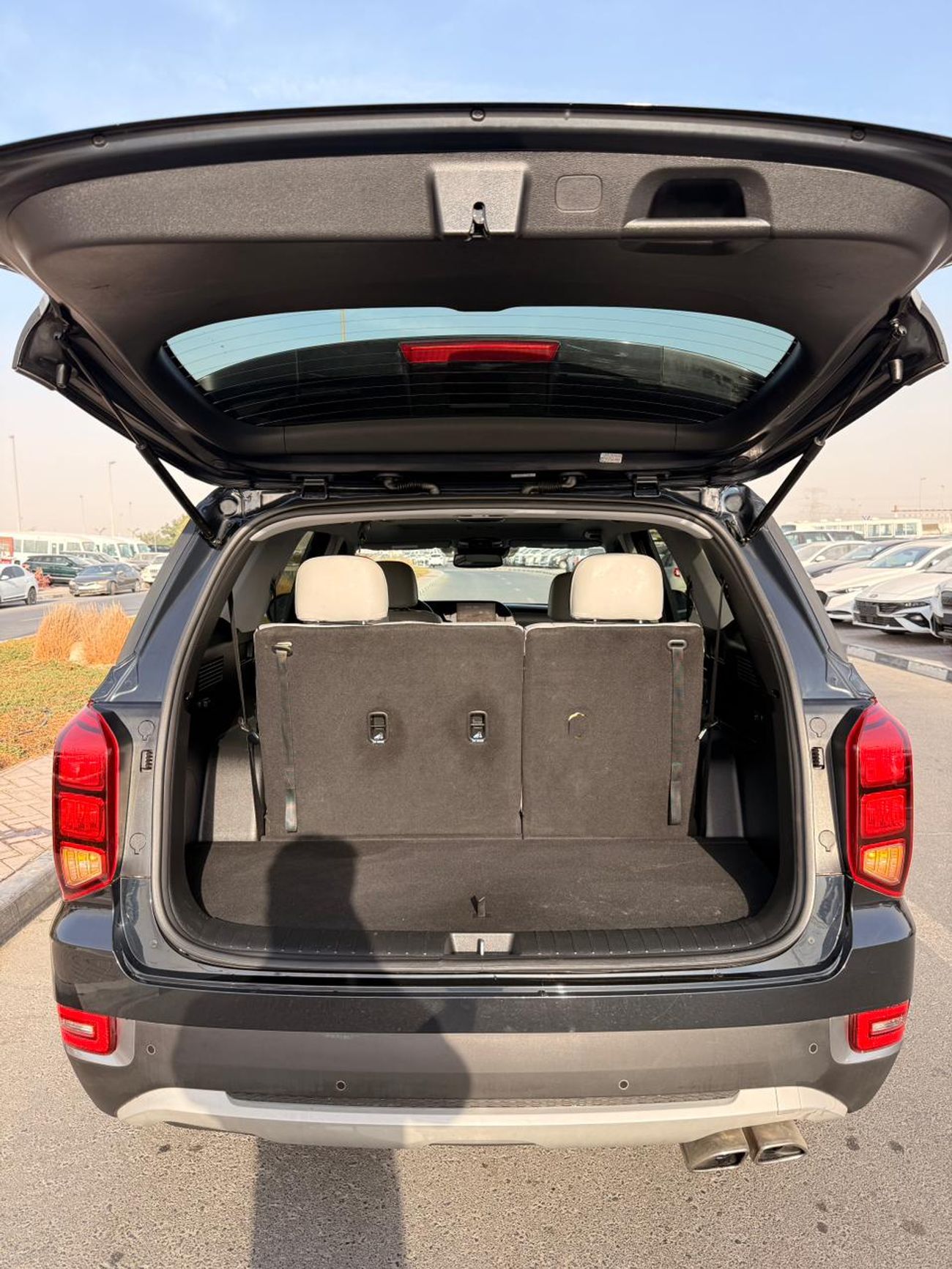 Hyundai Palisade Hyundai palisade 2020