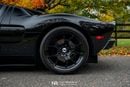 Ford GT Rare 1 of 14 Stripe Delete