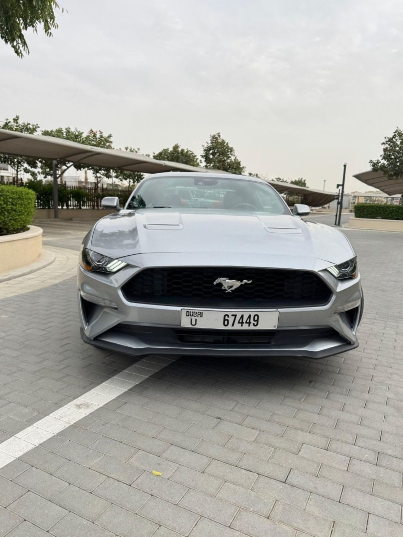 Ford Mustang Ford Mustang EcoBoost / 2.3L Turbo / USA /2021 / Only 55,000Mi