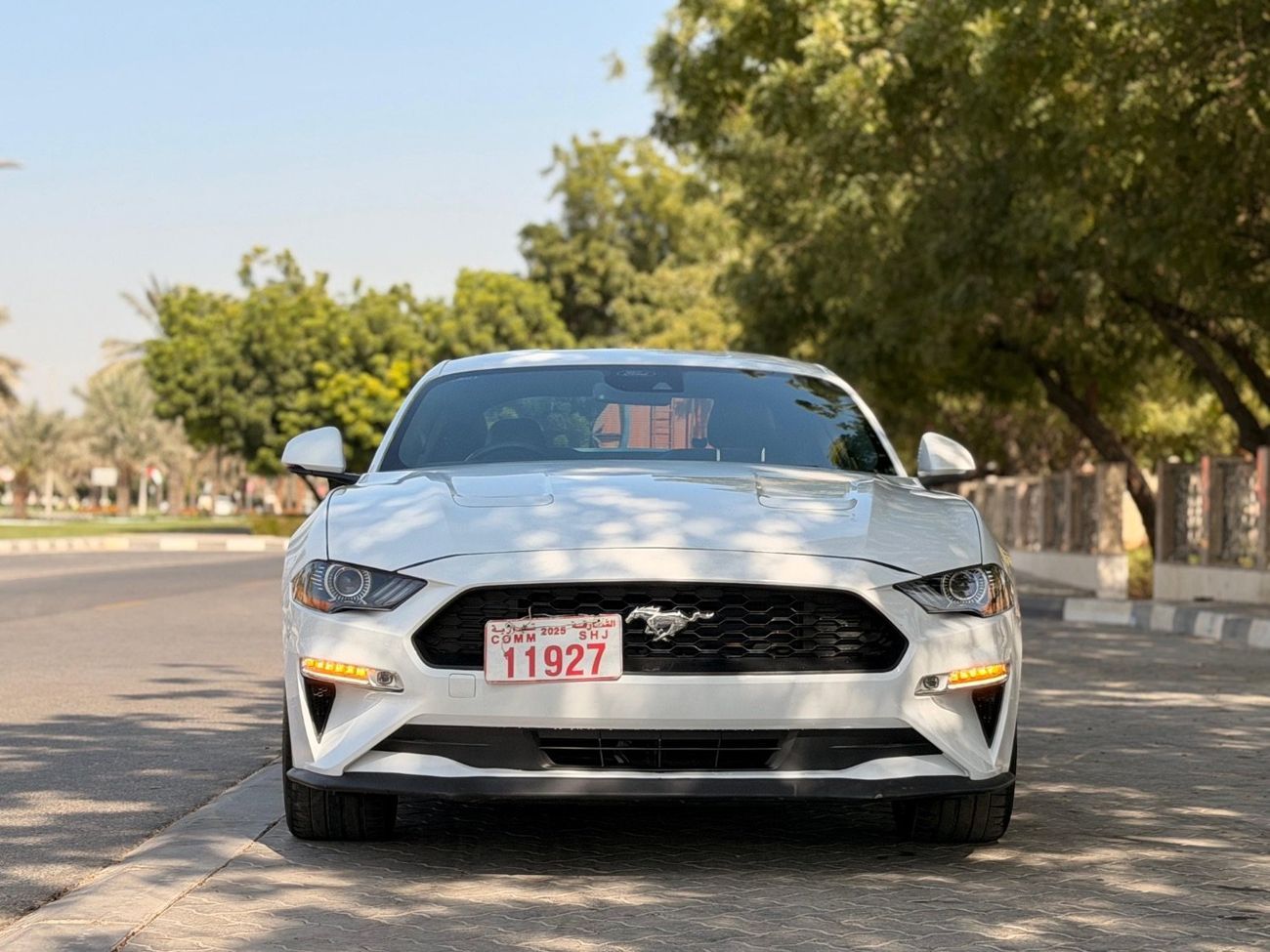 Ford Mustang GT California Special 5.0L (435 HP) Coupe A/T