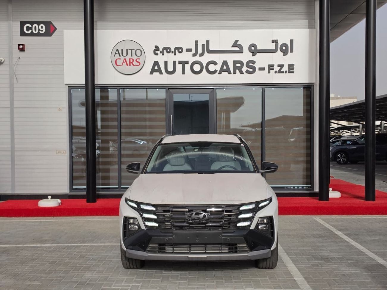 Hyundai Tucson  2.0L 2WD A/T Petrol