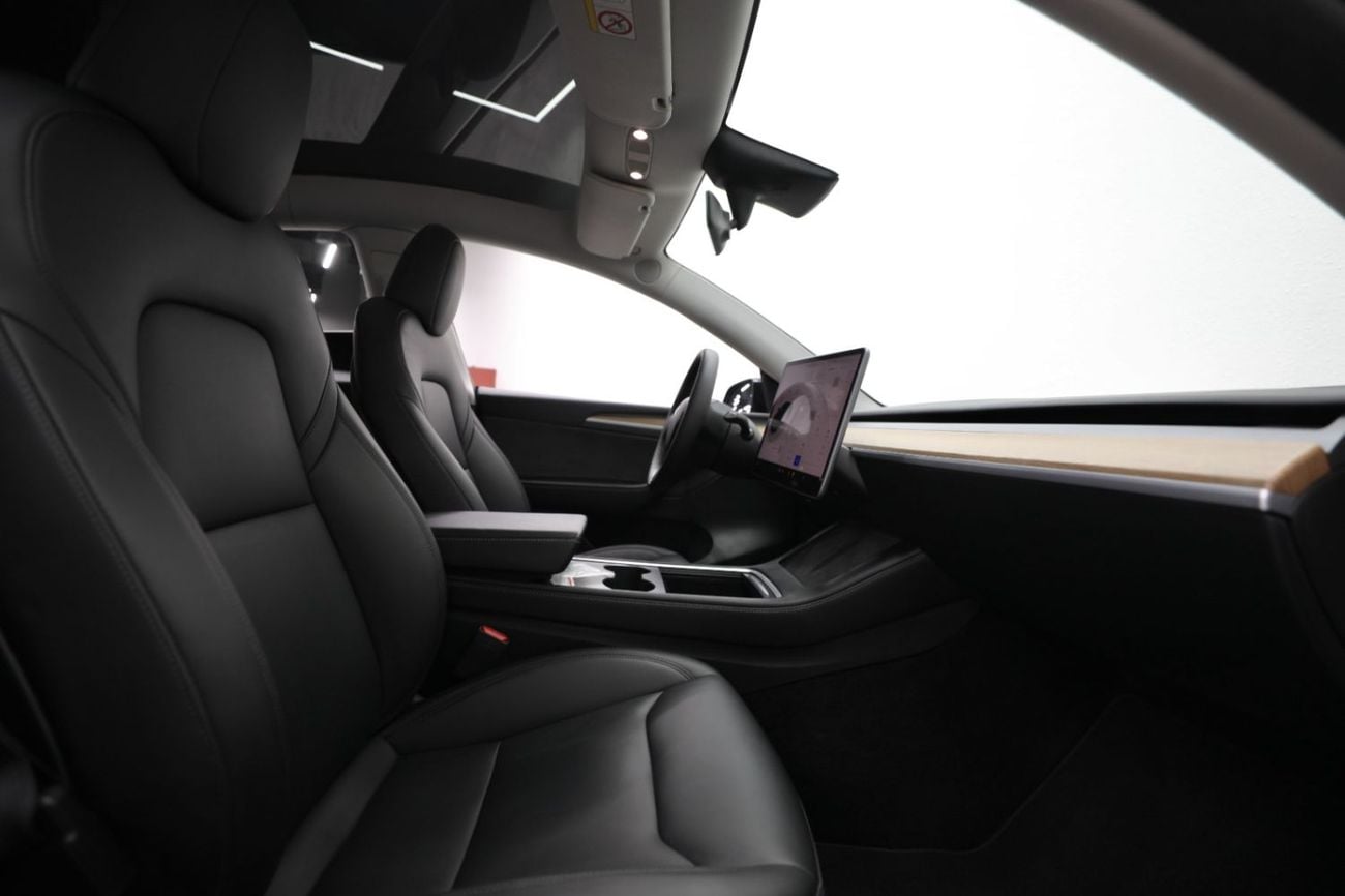 Tesla Model Y PERFORMANCE