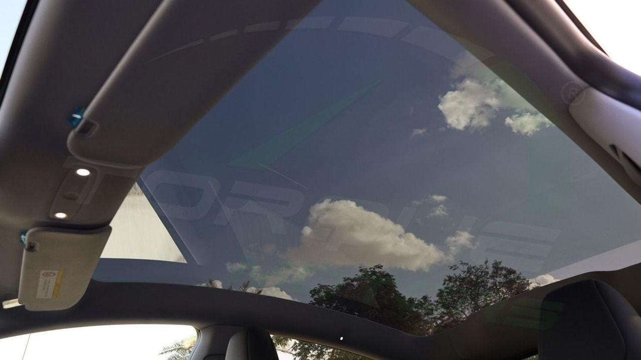 Tesla Model Y Real-Wheel Drive ( Only For Export ) 2025/2025 Tesla Model Y Short Range RWD BRAND NEW