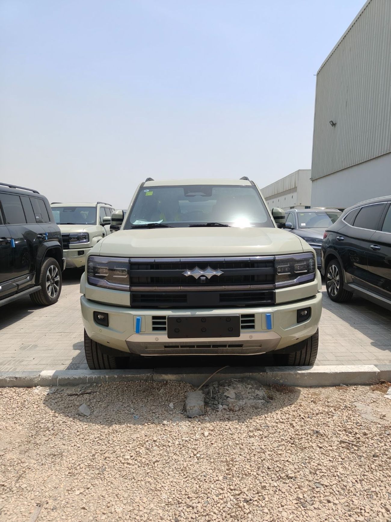 بي واي دي ليوبارد 5