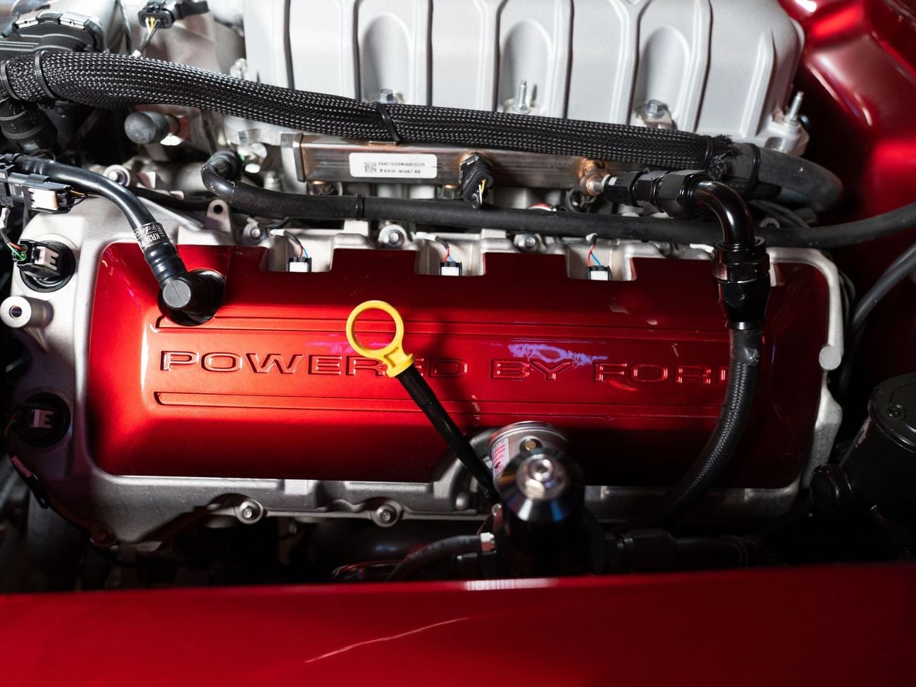 فورد موستانج Fastback Supercharged Predator GT500 Motor Pro Touring Restomod