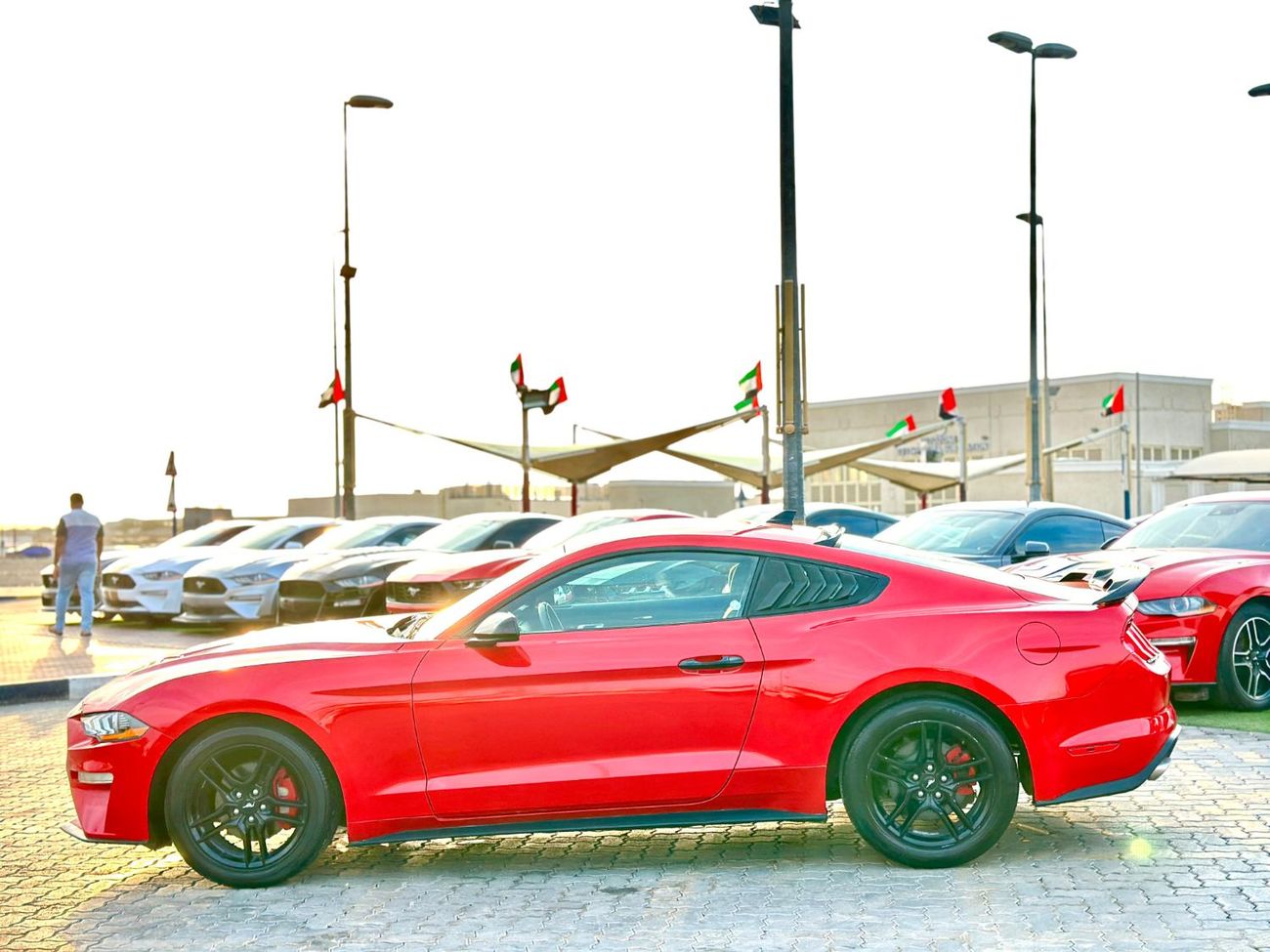 Ford Mustang Ecoboost | Monthly 1250/- | 0% DP | Fog Lights | Original Airbags | Blindspot | # 01458
