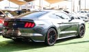 Ford Mustang GT 5.0