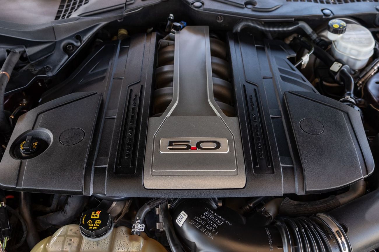 Ford Mustang GT Premium 5.0L V8