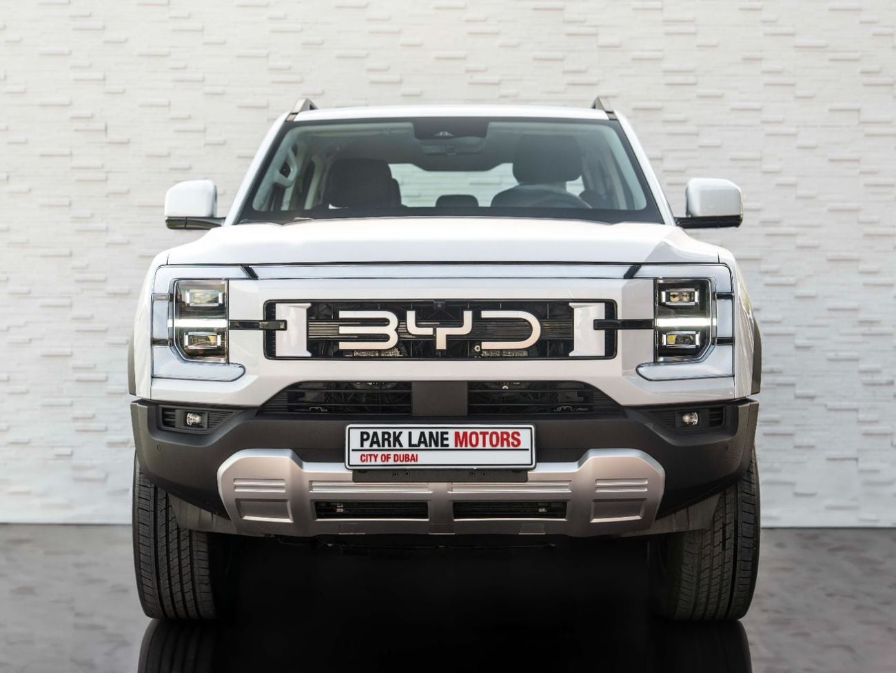 BYD Shark 6