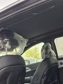 Kia Sportage Smartstream 1.6L Diesel GT I LINE  1.6L Diesel 5 Seater A/T