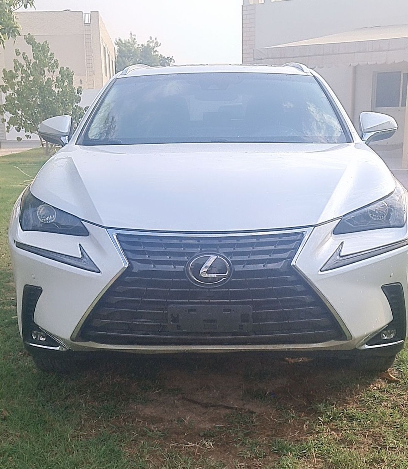 Lexus NX300