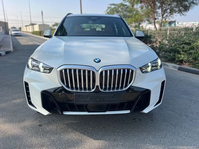 BMW X5 XDRIVE40i M SPORT PRO, миниатюра 29