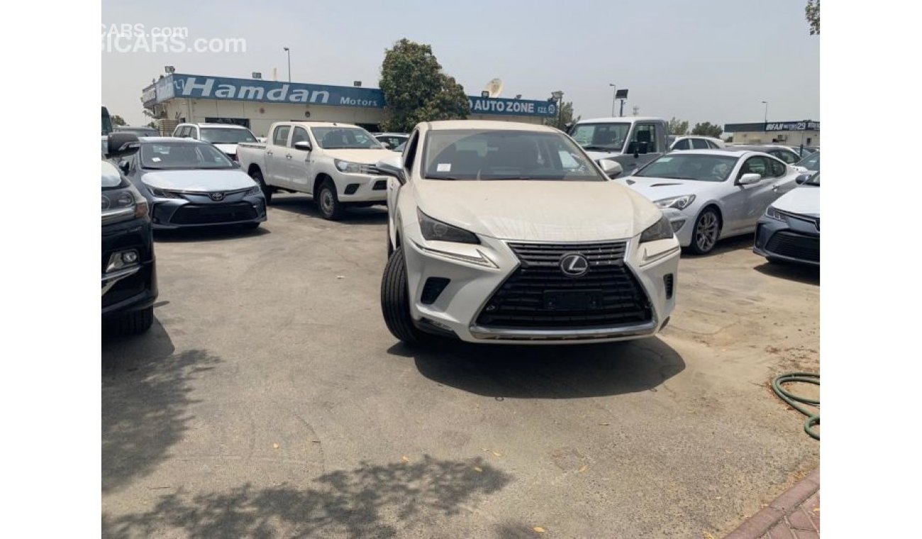 Lexus NX300 full option