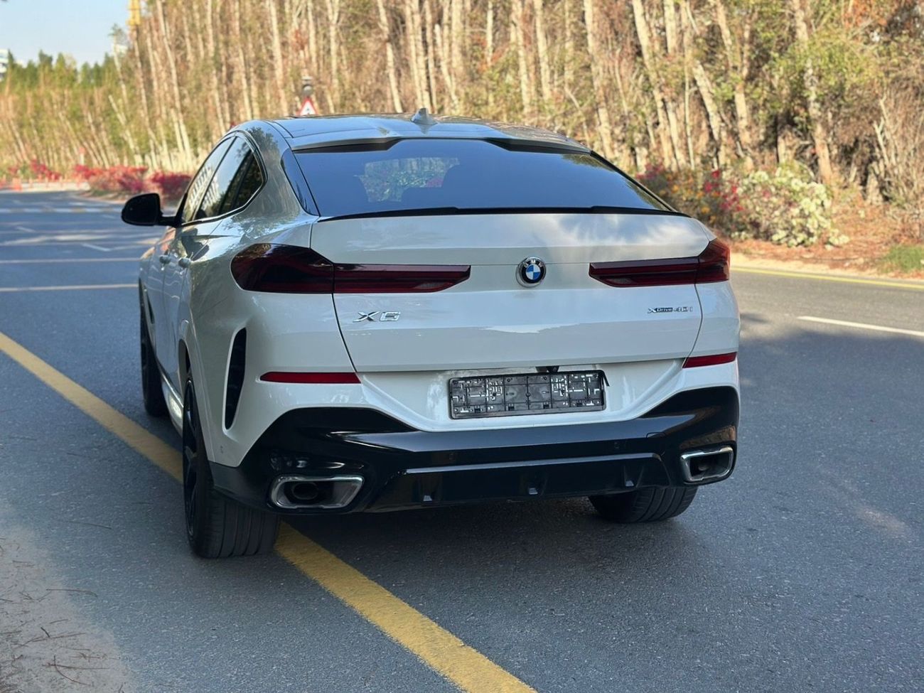 بي أم دبليو X6 xDrive 40i 3.0L