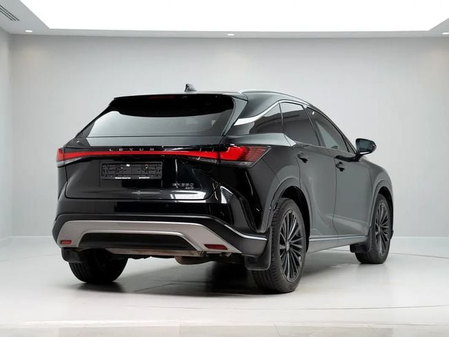 Lexus RX F-SPORT, миниатюра 23