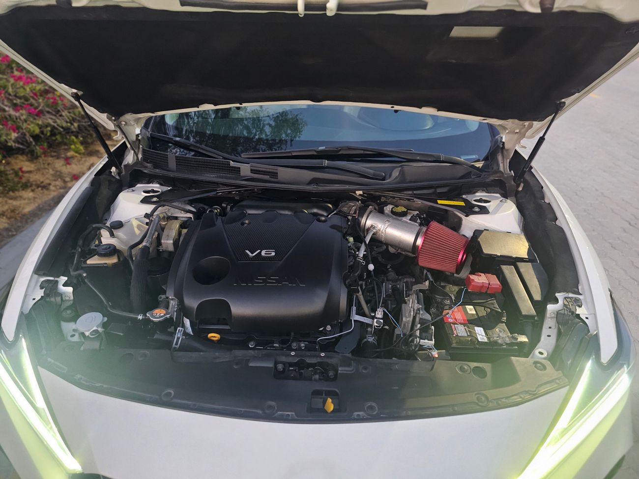 نيسان ماكسيما