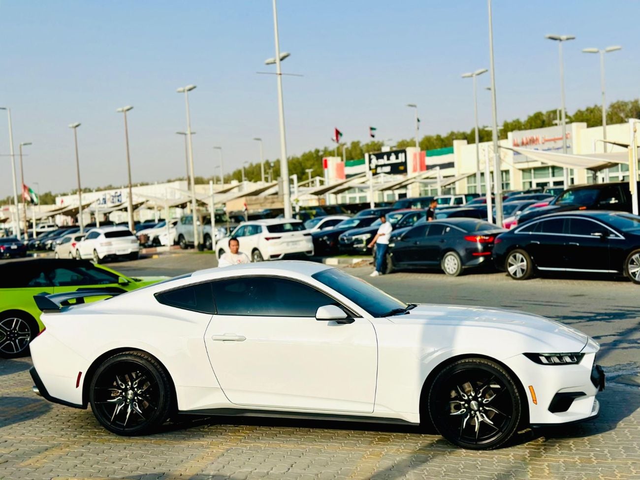 فورد موستانج STD
