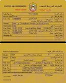 جيتور داشينج