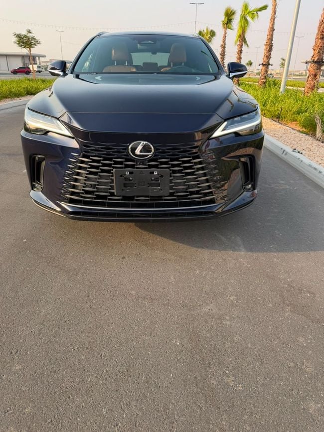 Lexus RX EXCELLENCE, миниатюра 23