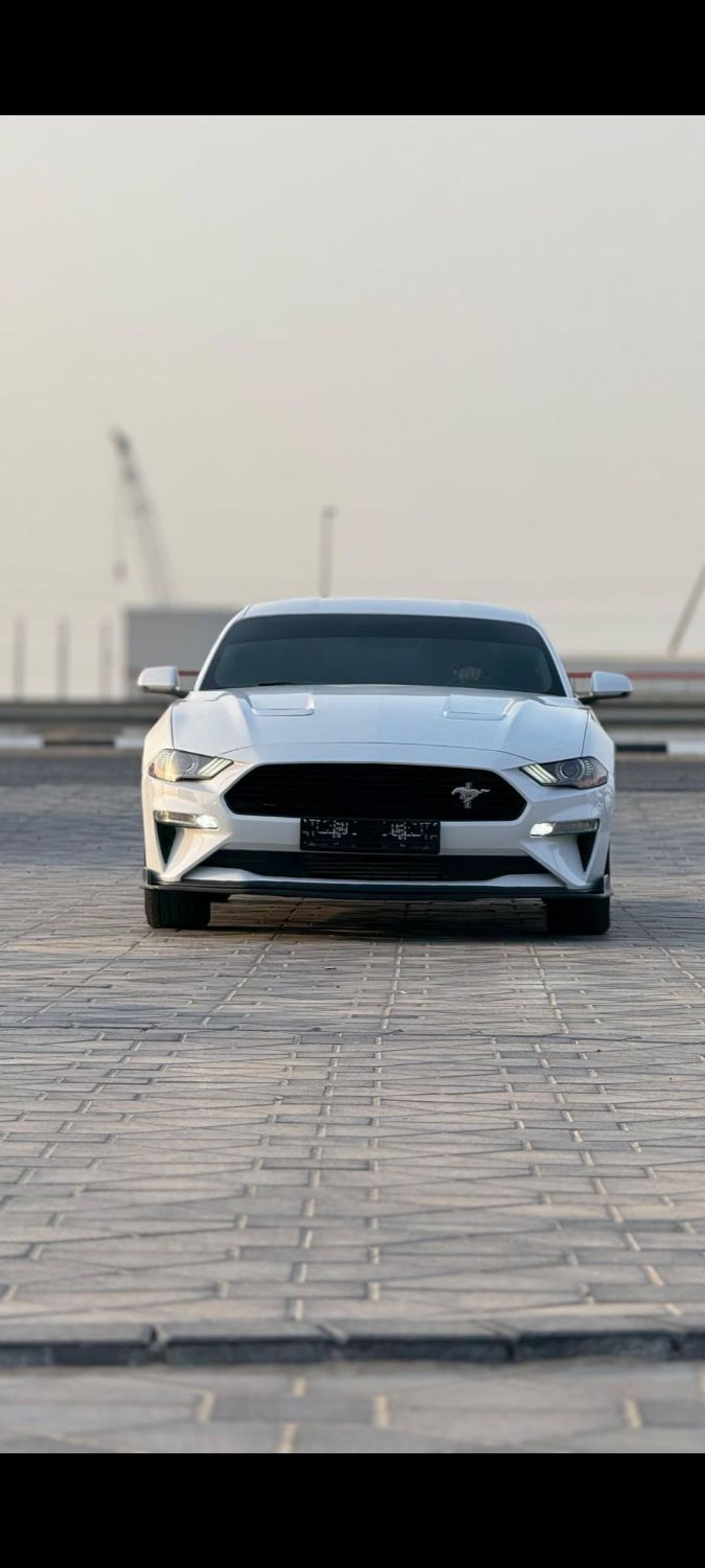 فورد موستانج