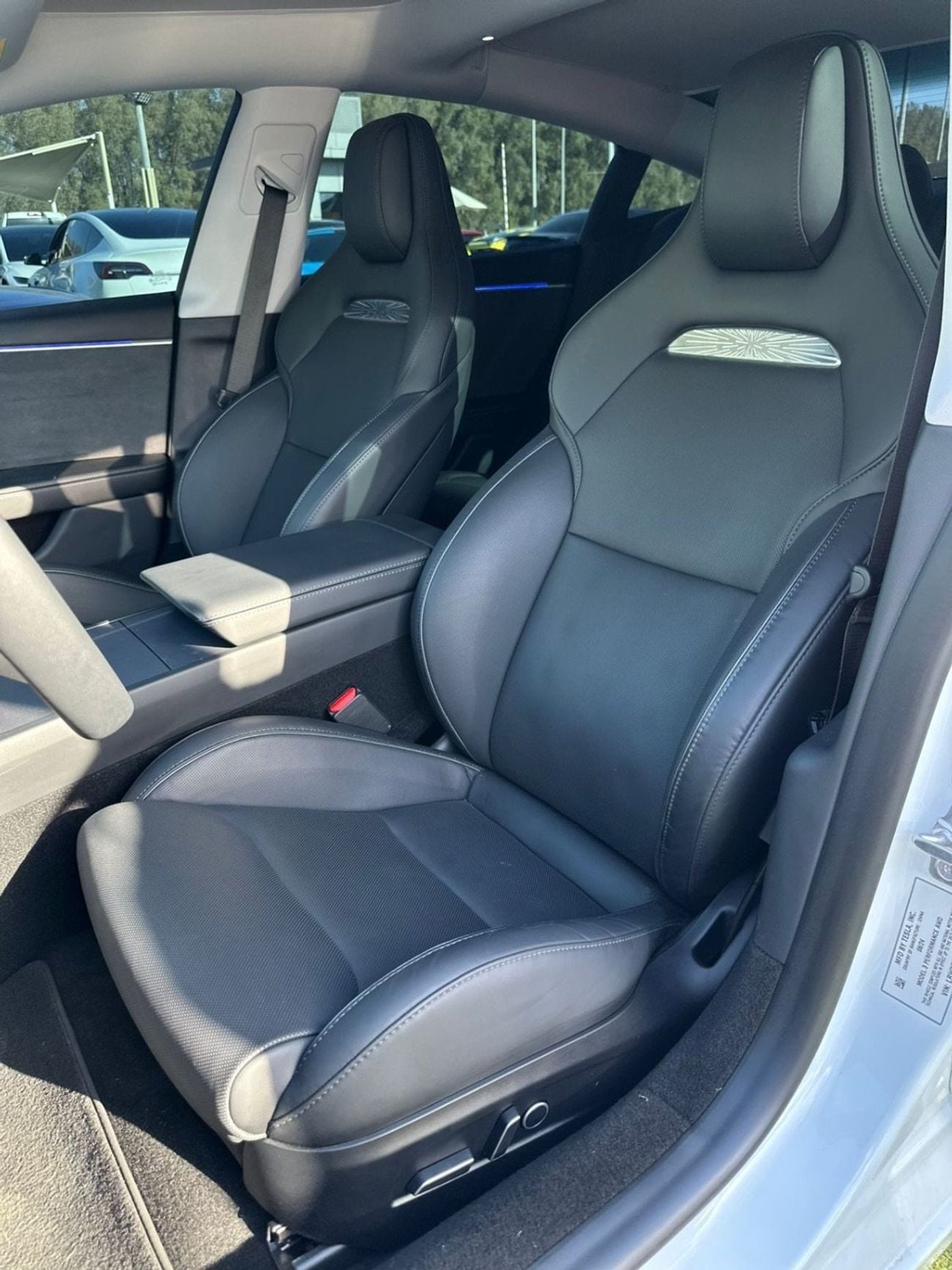 Tesla Model 3 PERFORMANCE