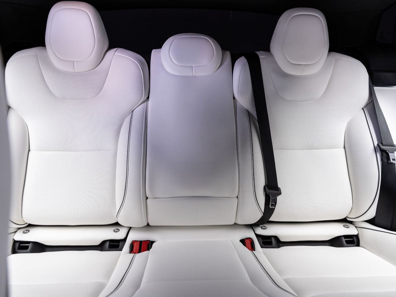 Tesla Model S PLAID BUY NOW, PAY 2027 | THE BLACKLINE STANDARD | Tesla Warranty, GCC