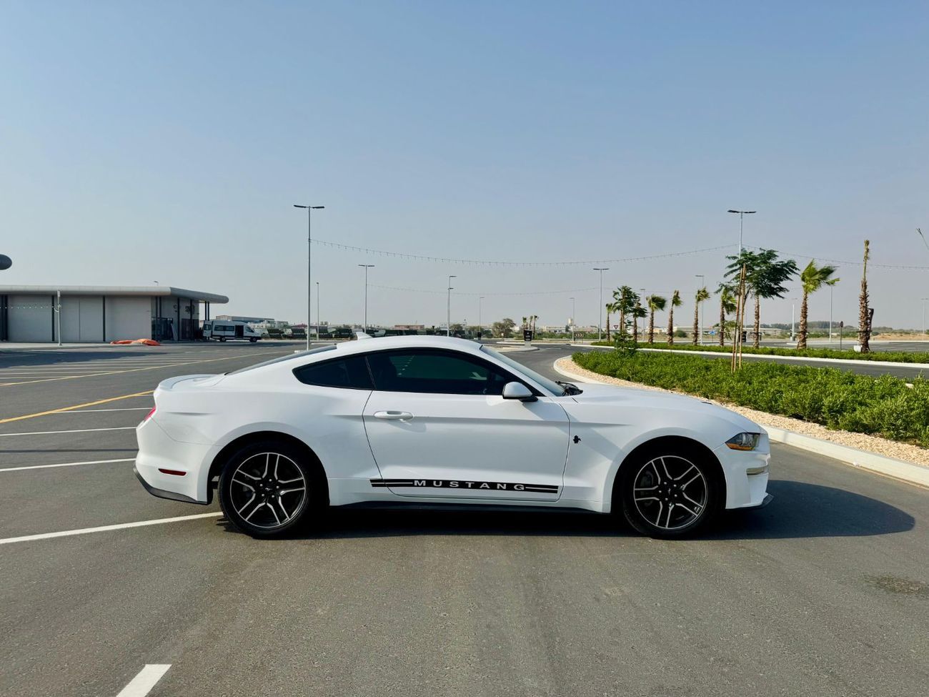 Ford Mustang STD