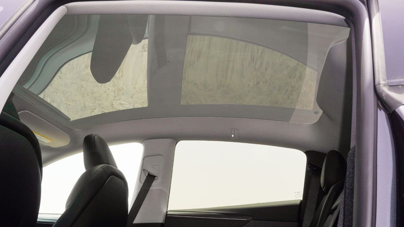 Tesla Model Y Real-Wheel Drive || Standard Range || 0 KM