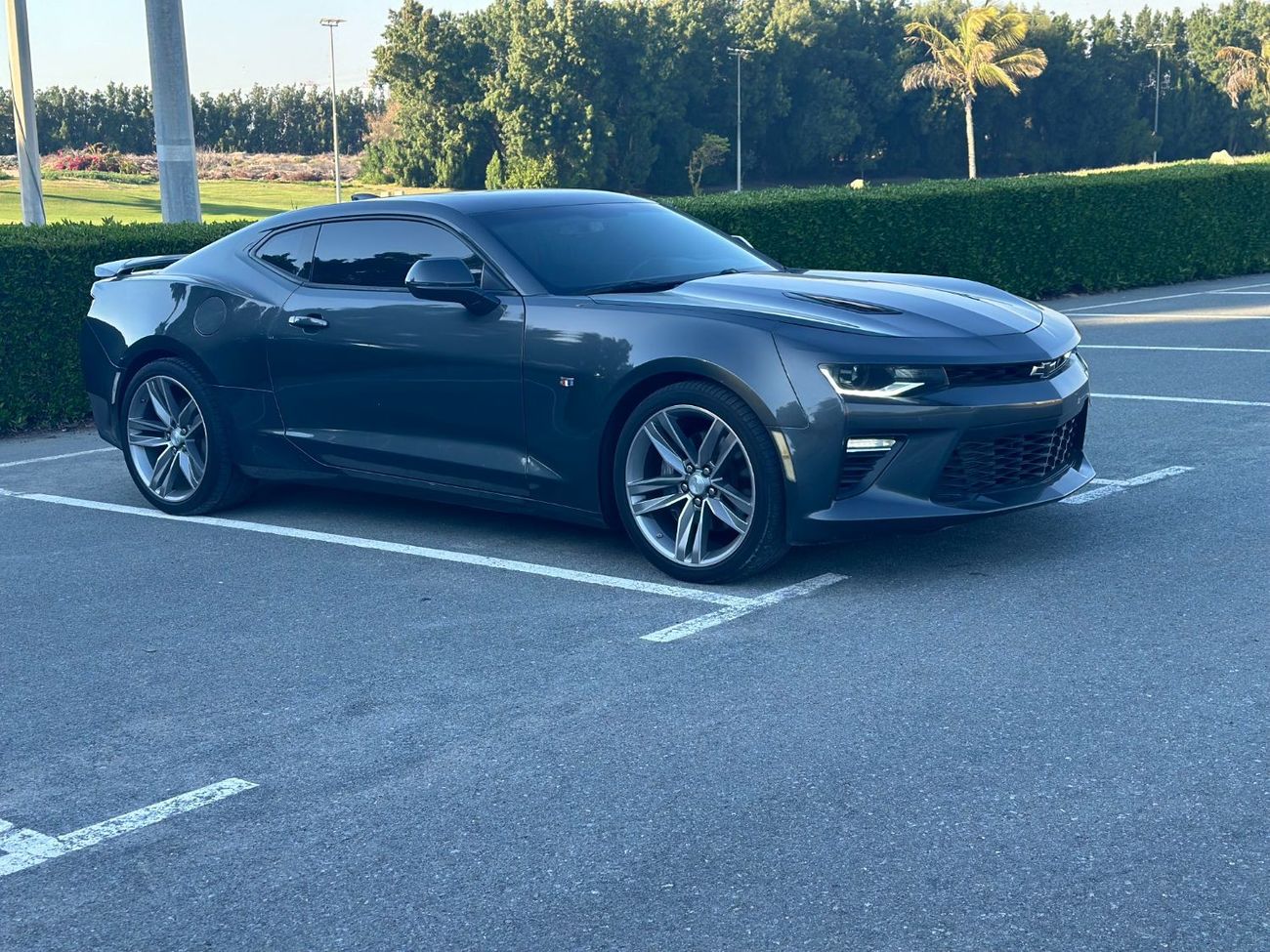 Chevrolet Camaro SS Korean importer