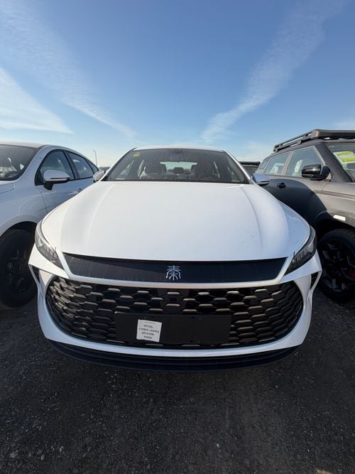 بي واي دي كين بلاس DMi 55km leading