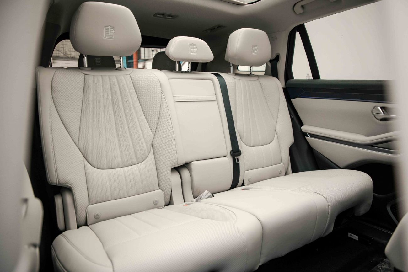 بي واي دي تانغ ل Flagship Lidar EV - Black Inside Grey | Export Only