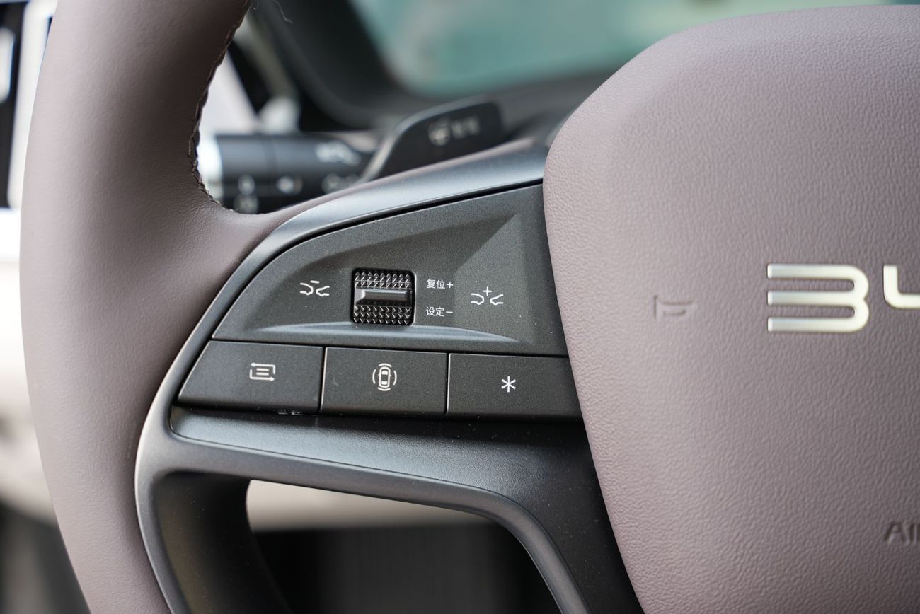 BYD Song Plus BYD Song Plus DM-i 112KM Premium