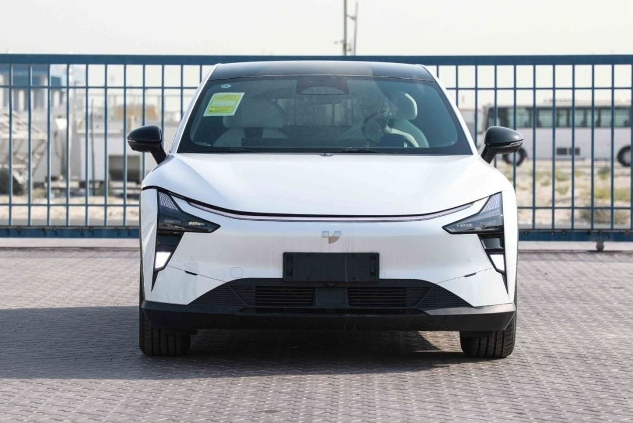 Jidu 1 Max EV - White Inside Black | Export Only