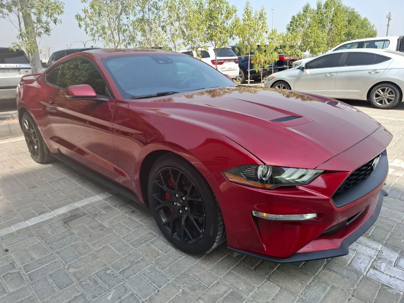 فورد موستانج STD