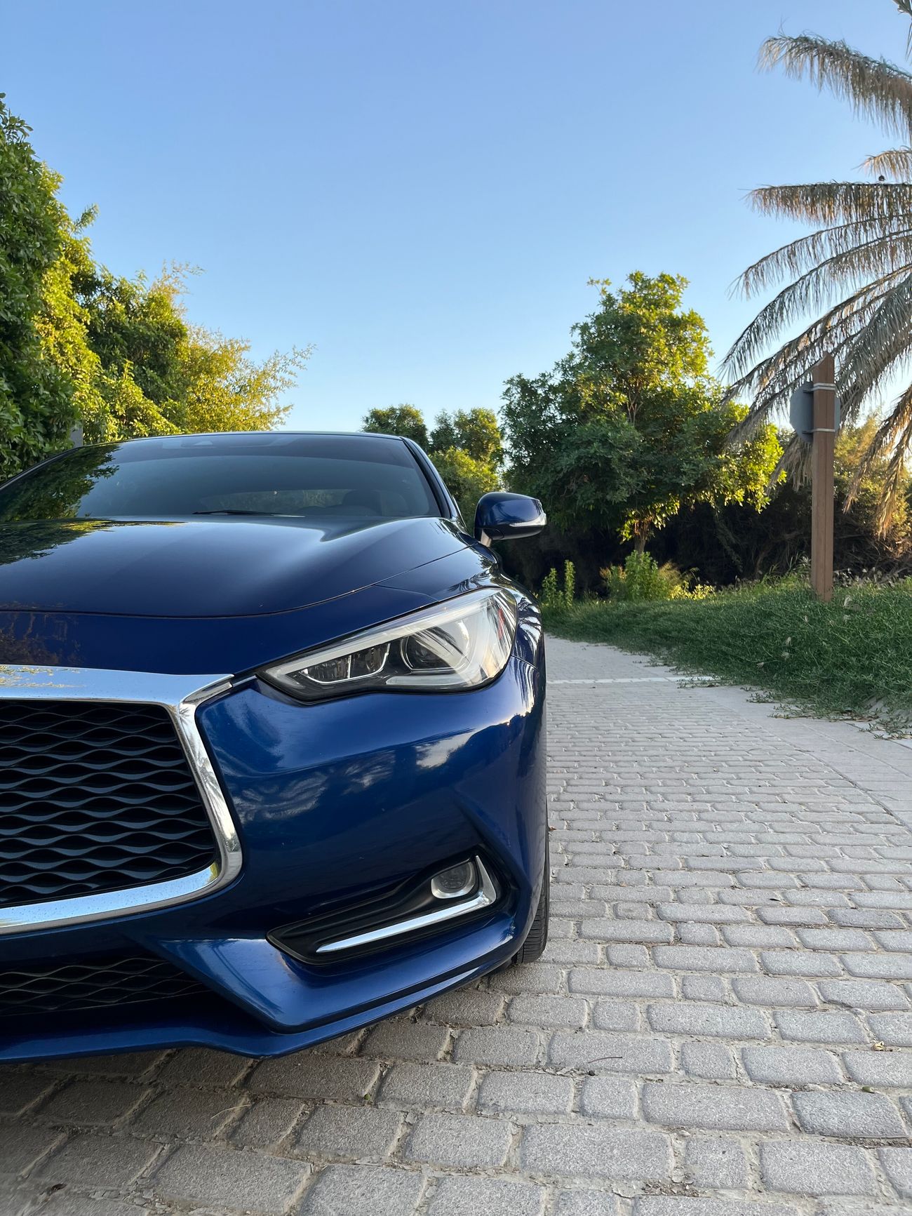 إنفينيتي Q60