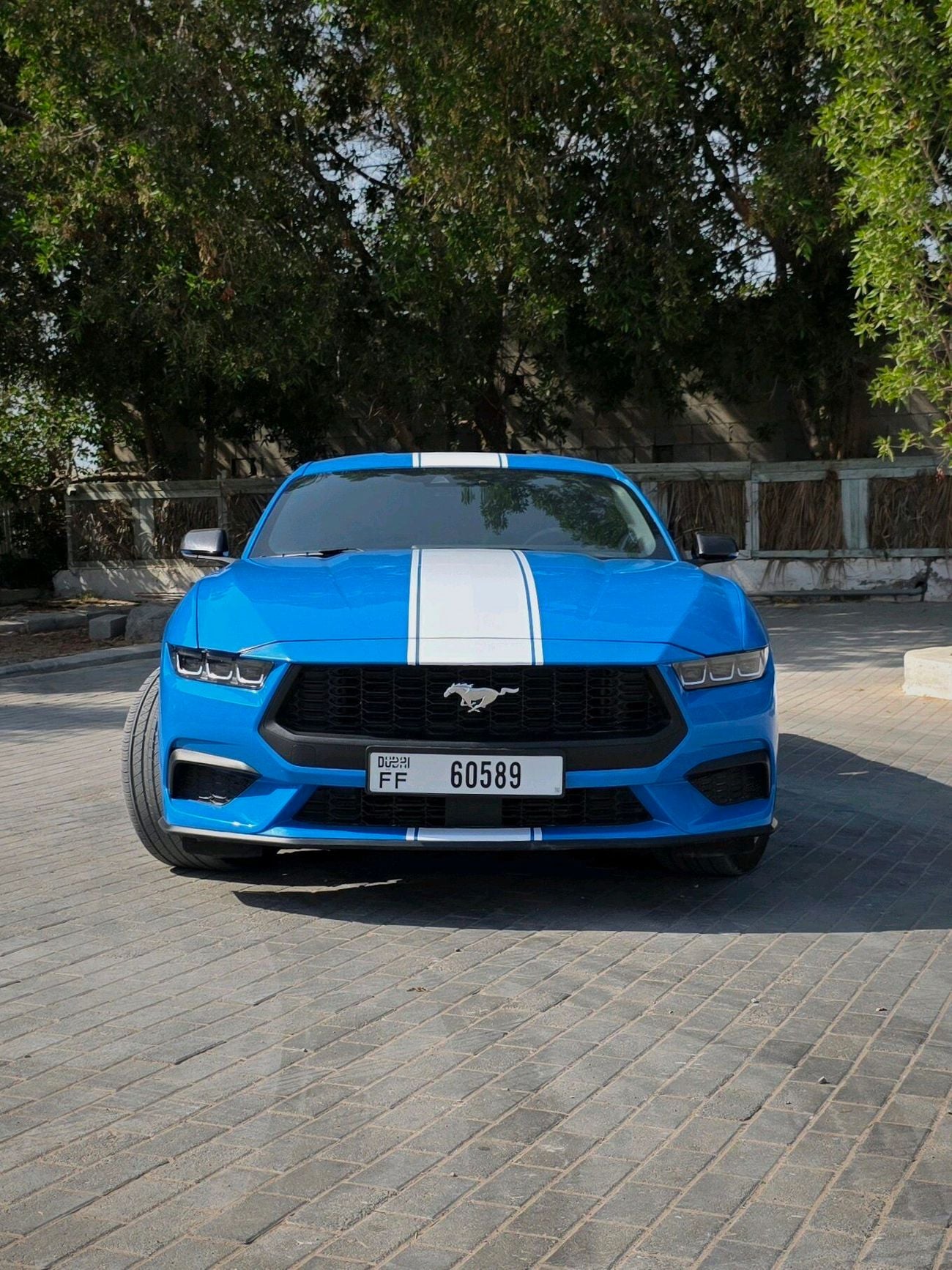 فورد موستانج