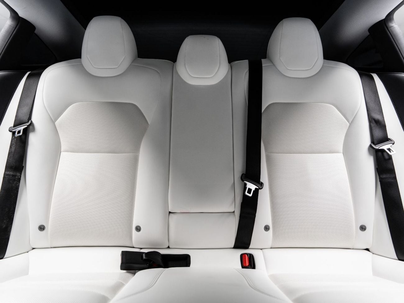 Tesla Model 3 PERFORMANCE BUY NOW, PAY 2027 | THE BLACKLINE STANDARD | Tesla Warranty, Carbon Fibre, GCC