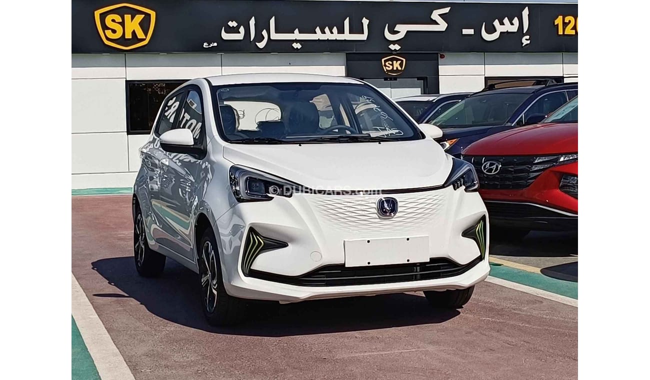 Changan Ben EStar Single Charger, Electric Car Full 2023 (CODE # 67927)