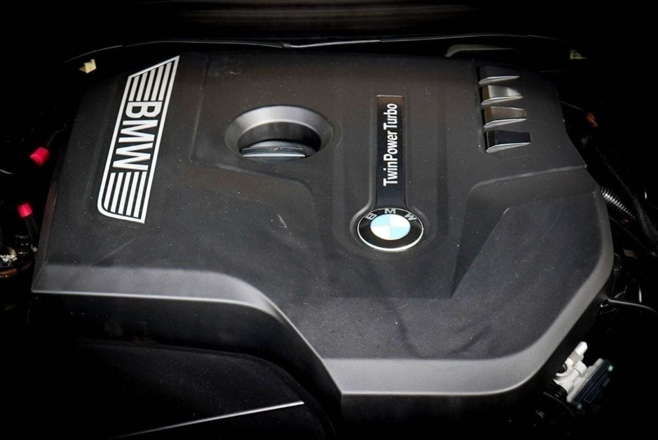 BMW 530i M Sport 2.0L