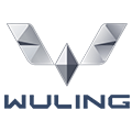 ولينج logo