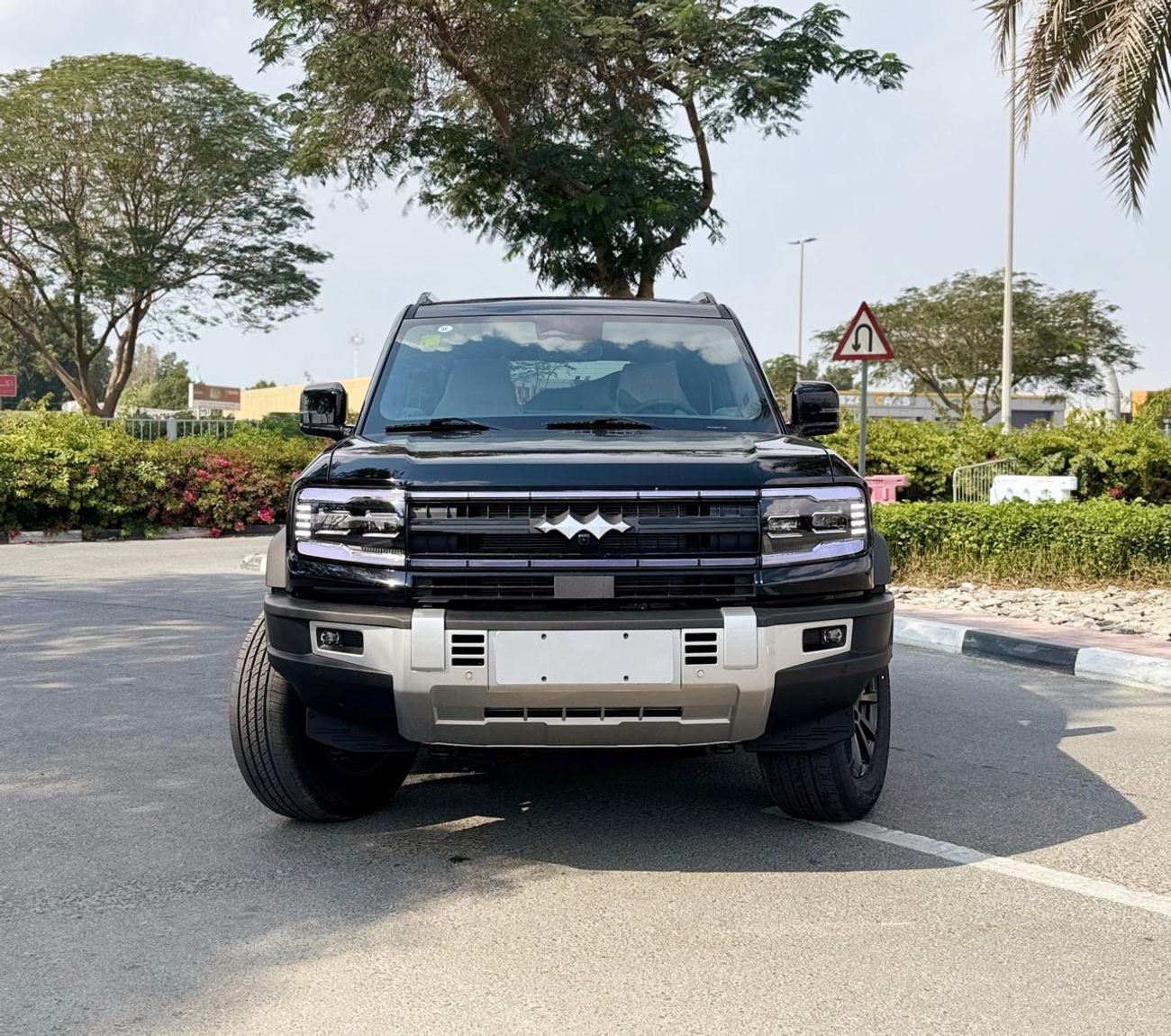 بي واي دي ليوبارد 5
