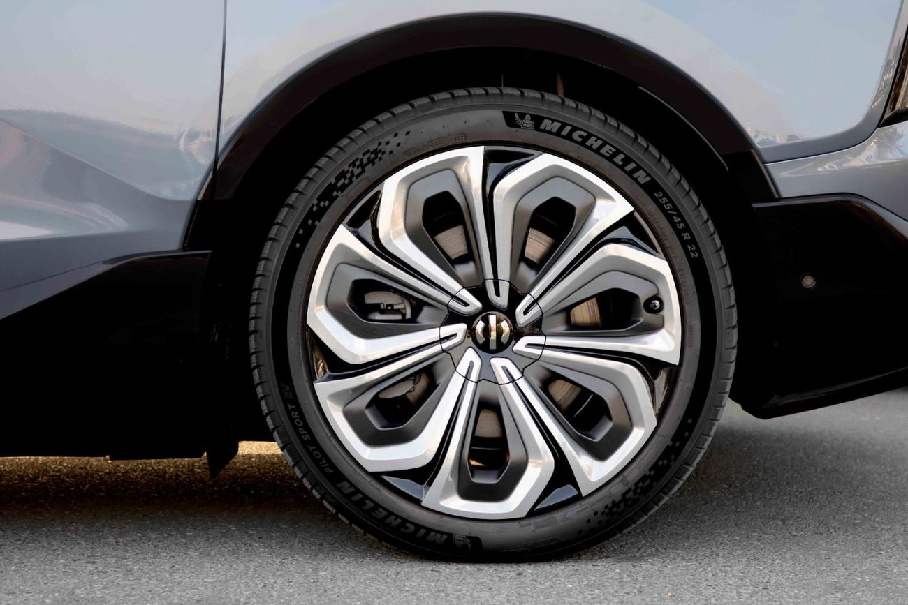 HiPhi X 2022  HIPHI X - Flagship - Grey inside White | Export Only